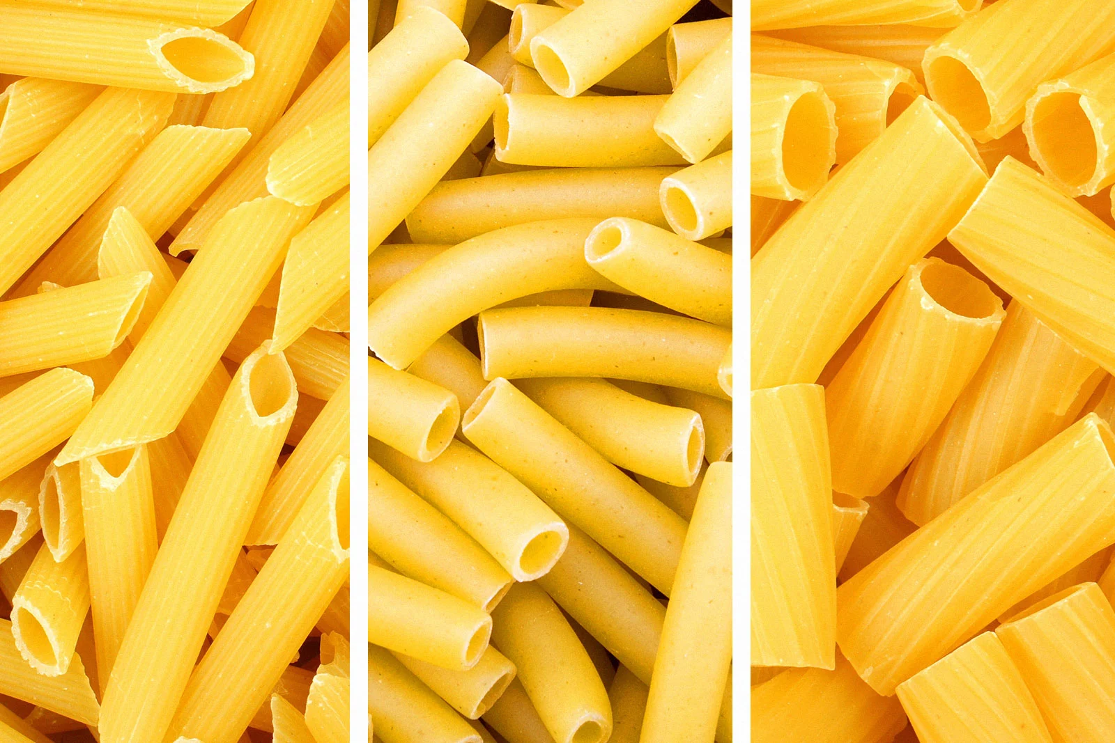 Rigatoni vs Penne